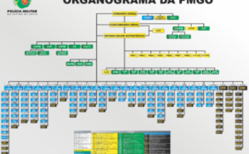 ESTRUTURA ORGANIZACIONAL